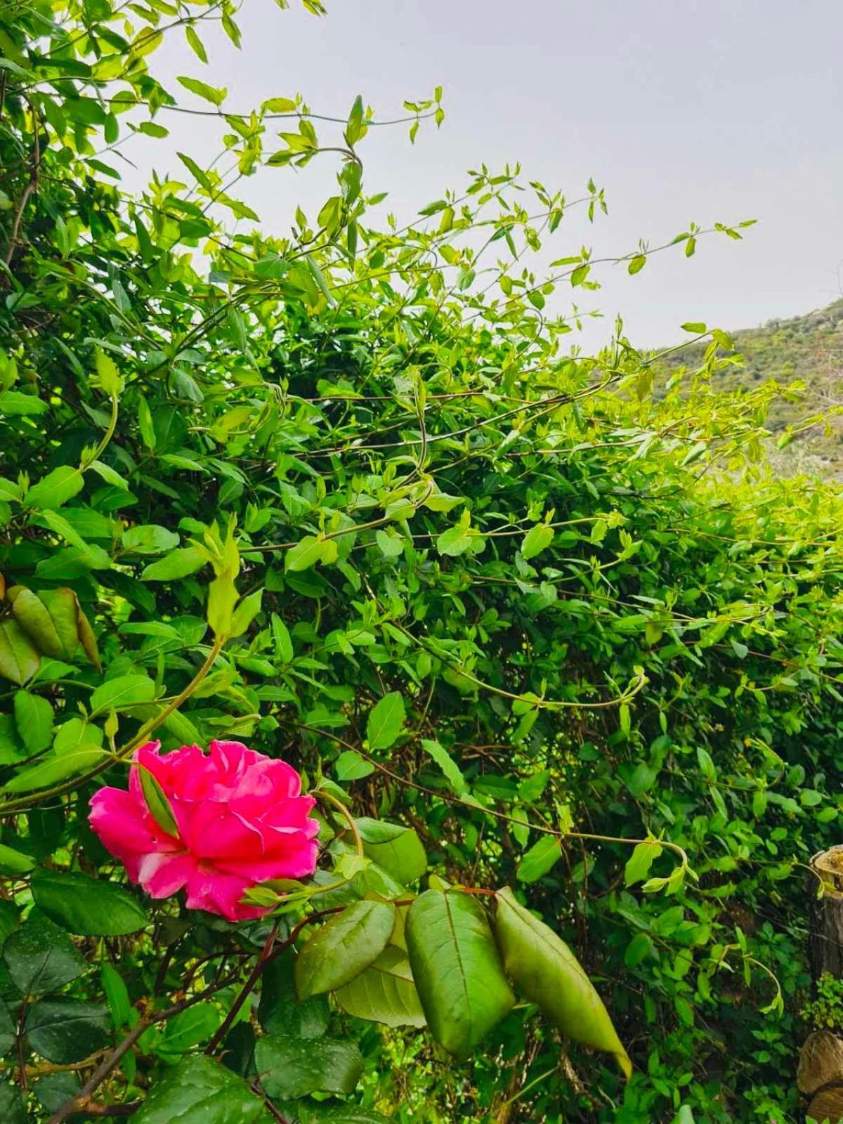 Vila Sea-side Mountain *